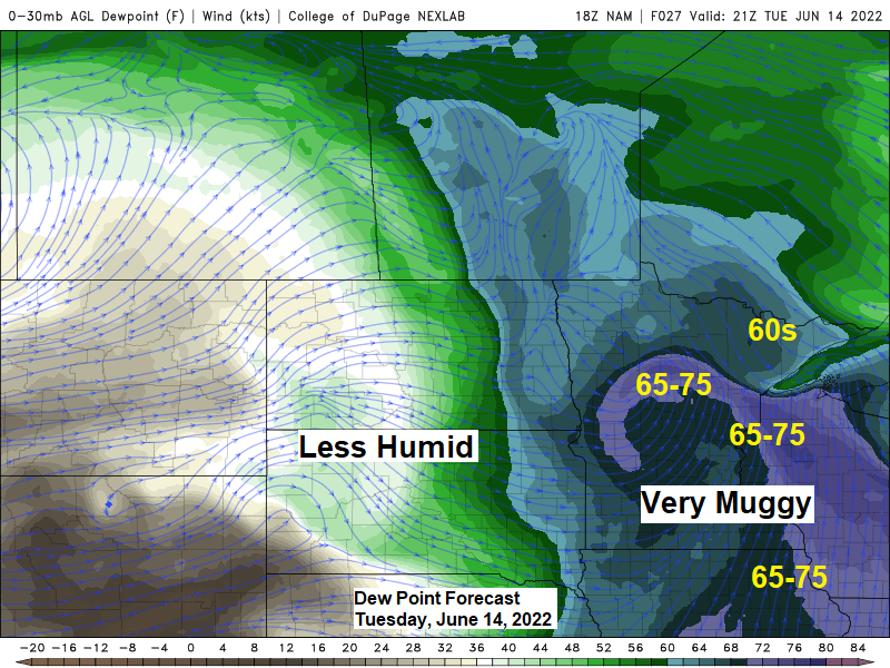Highs 85 to 95 with 70+ dews in parts of the Northland Tuesday (temps in the 50s with fog near Lake Superior) Wind shift occurs, and a warming trend ensues near Lake Superior Wednesday-Thursday; Heat dome could return this weekend-early next week