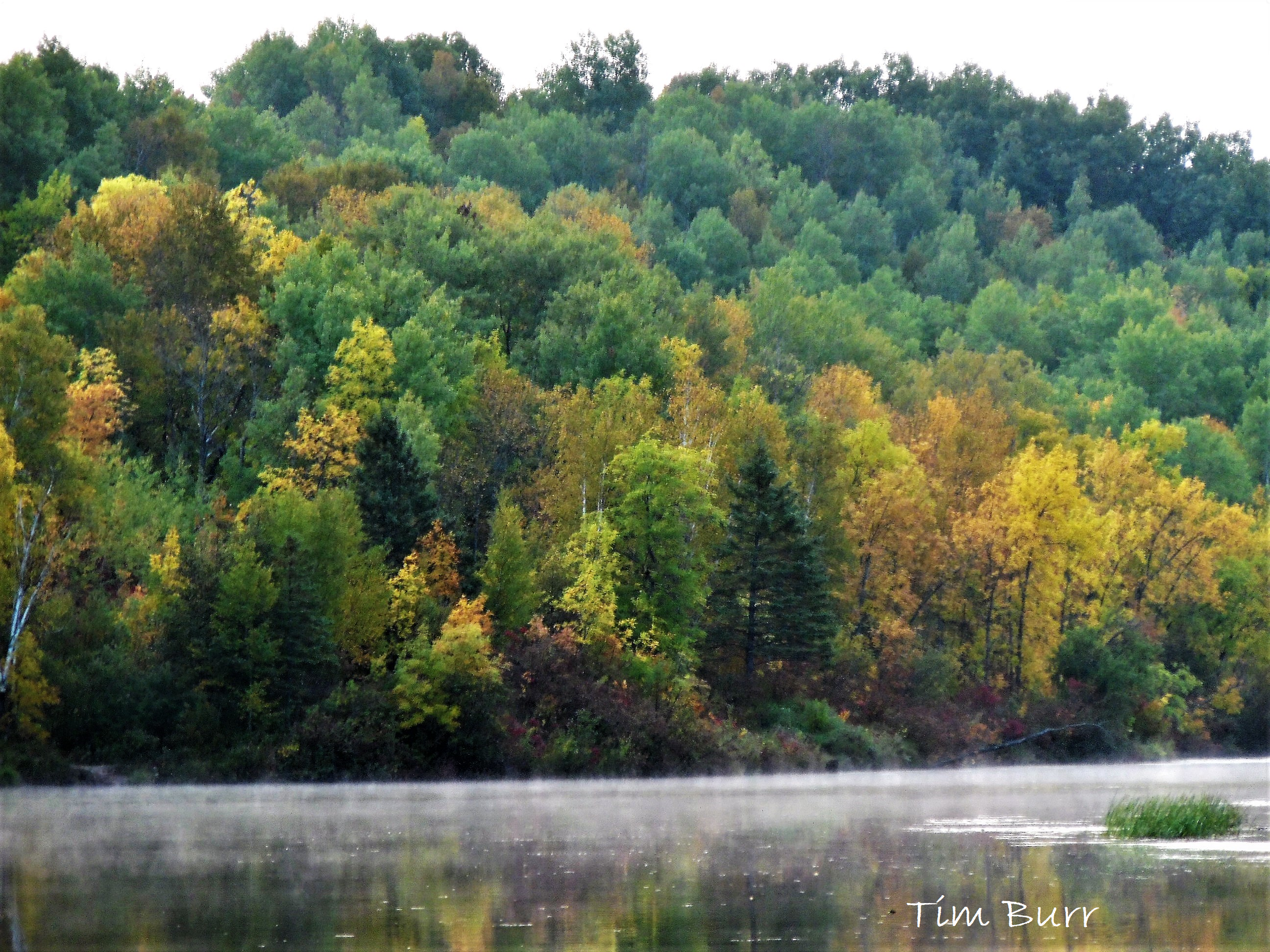 Northland Fall Season 2024 Outlook: Temperature and Precipitation Forecast Analysis