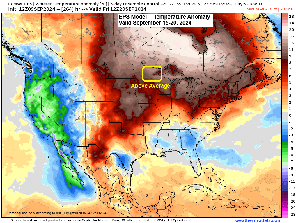 Northland Weather Update: Warm and Dry Week Ahead, Possible Rain Next Week