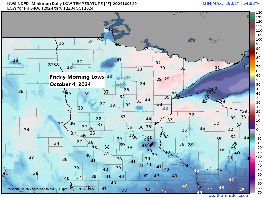 Freeze Warning in the Northland: What to Expect Tonight