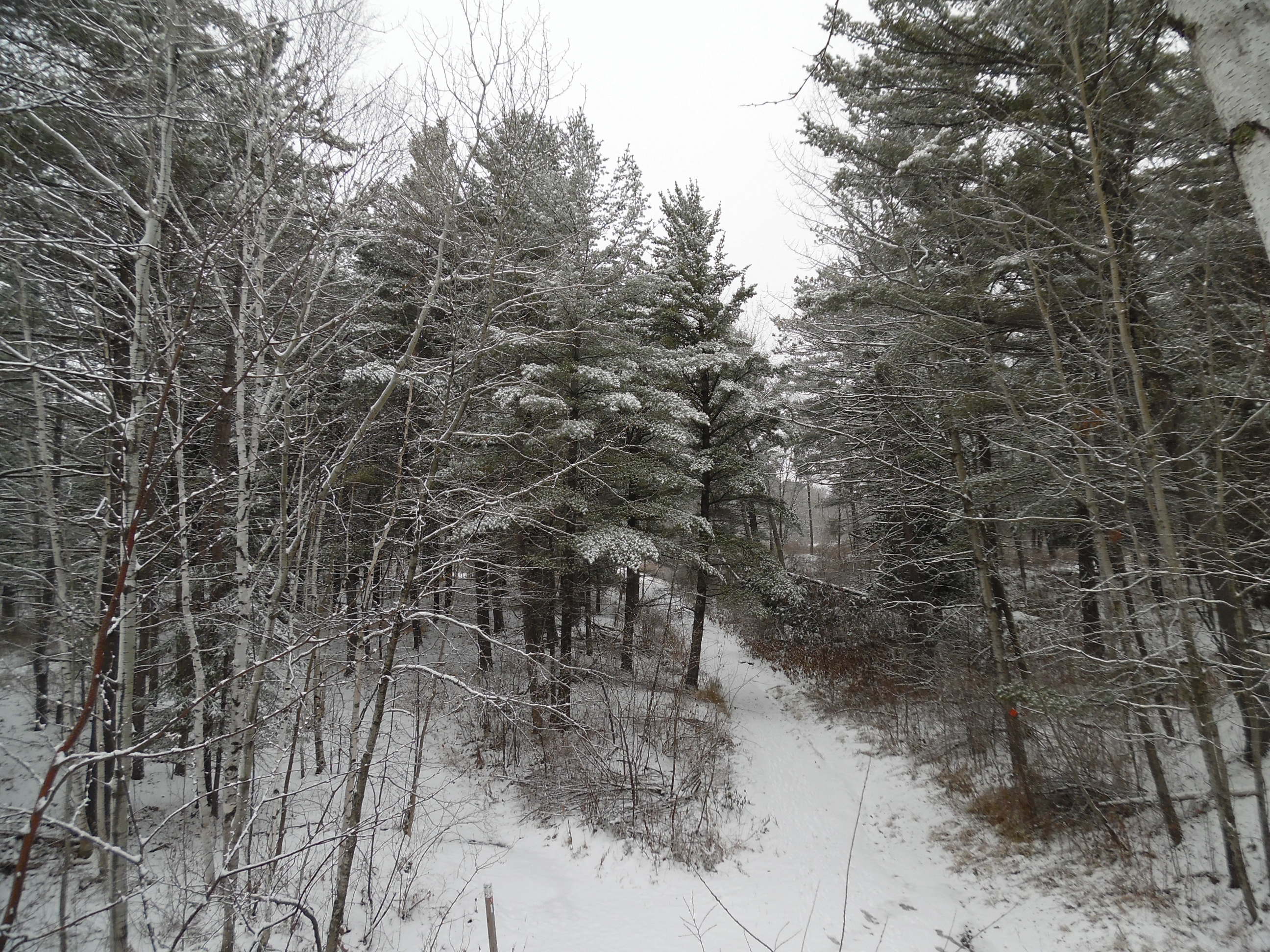 First Snowfalls in Duluth: 2000-2023 Records