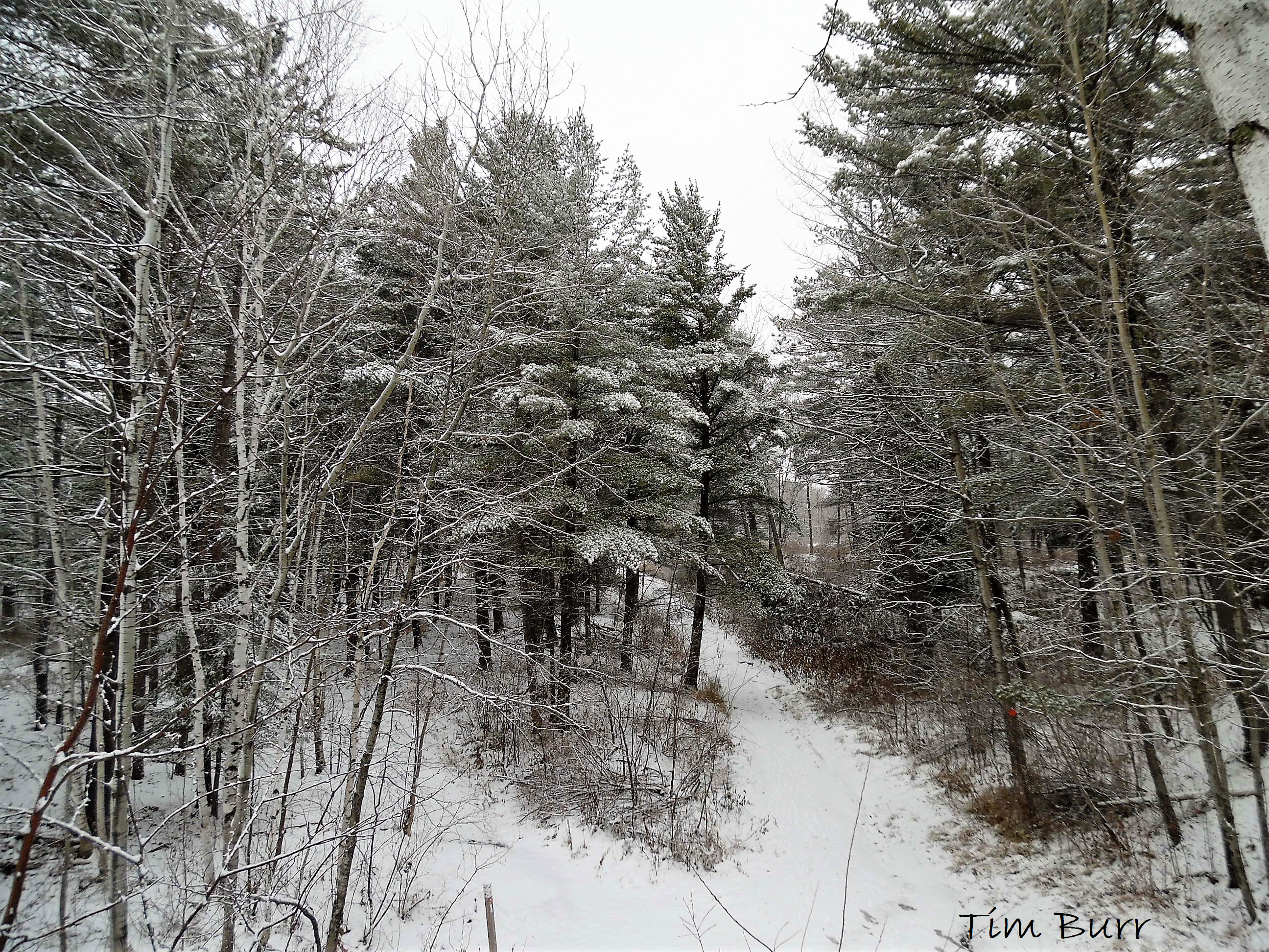 A Snowier Pattern is Developing