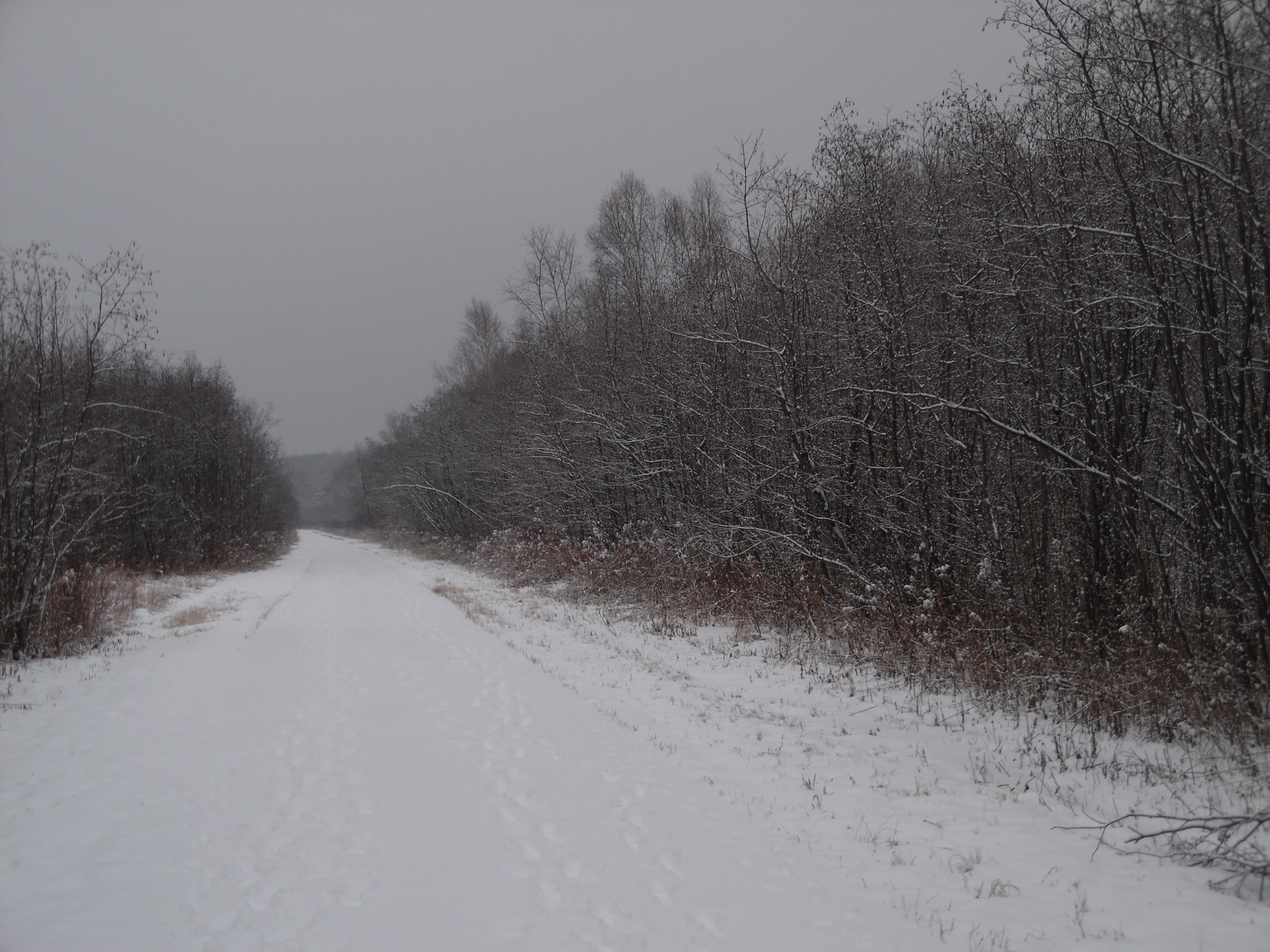 Duluth November Snowfall Trends 2000-2024